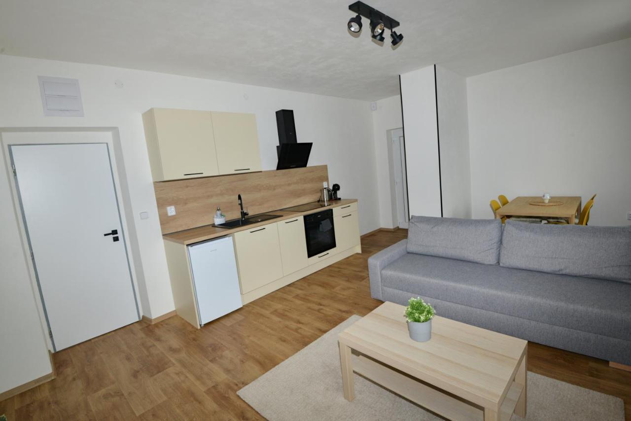 Apartmány u Pešlů Železná Ruda Esterno foto