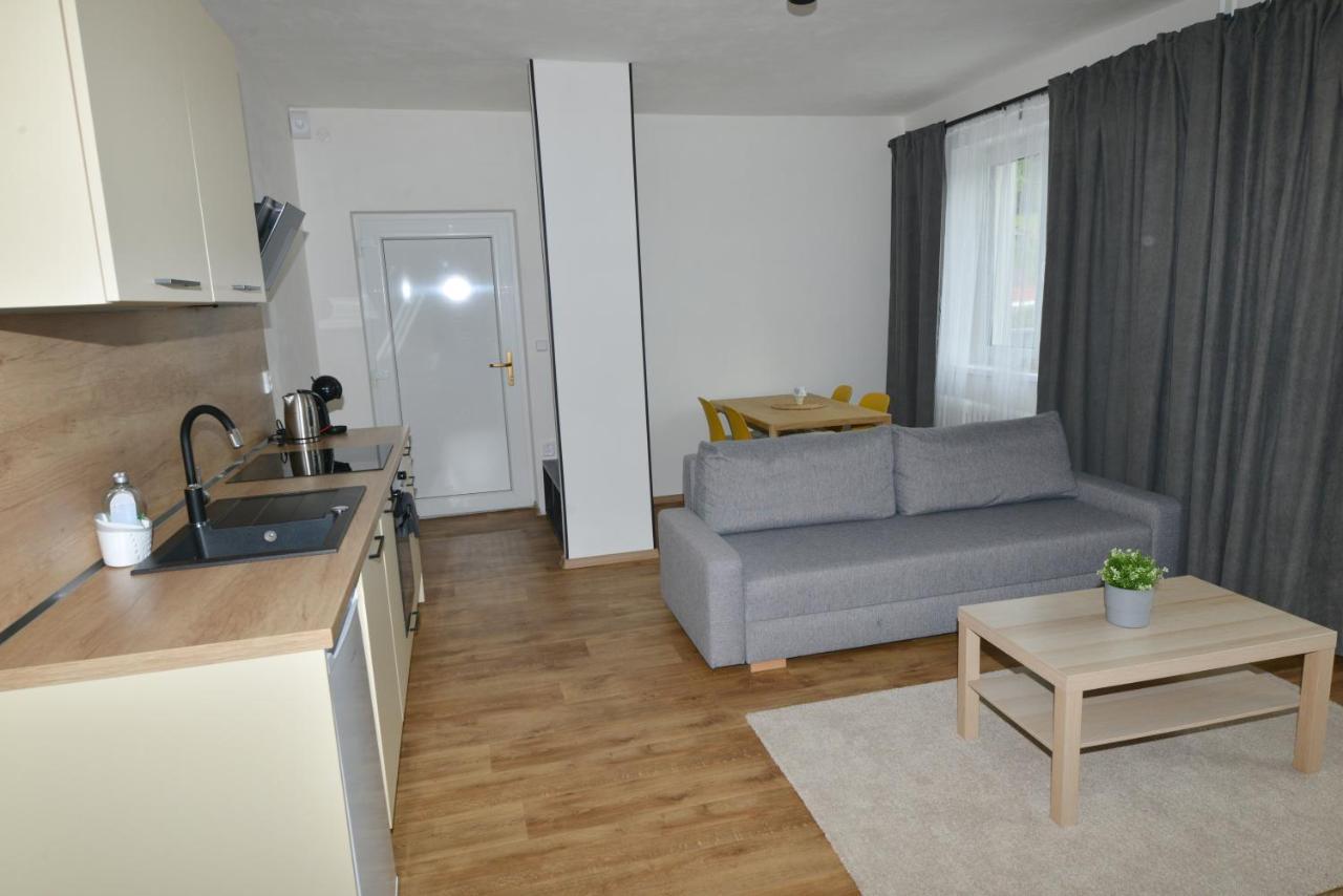 Apartmány u Pešlů Železná Ruda Esterno foto